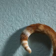 When your cat holds her tail high in the air as she moves about her territory, she's expressing confidence and contentment. What S My Cat S Tail Telling Me