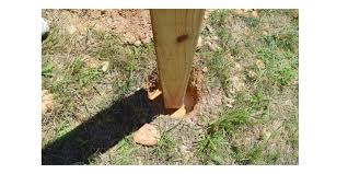 Check spelling or type a new query. How To Install A Sturdy Bird Feeder Post Southern Sunflowers