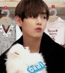 Hasil gambar untuk korean boy