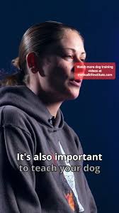 reactivedog #reactivedogtraining #dogtraining