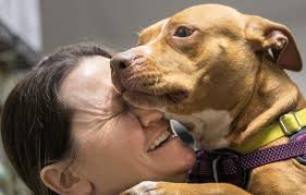 At the Plainfield Agway, puppies took over