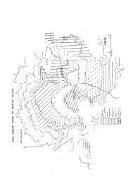 Image result for Anthospermum whyteanum