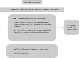 ‏@taha_busafi ‏@marwanbusafi ‏@busafiarc ‏@muntaserbusafi ‏@yassalhasani ‏@zako_or ‏@hafedhalharthi ‏@tariqalhajri. Laboratory Testing Of Extravascular Body Fluids National Recommendations On Behalf Of The Croatian Society Of Medical Biochemistry And Laboratory Medicine Part I Serous Fluids Abstract Europe Pmc