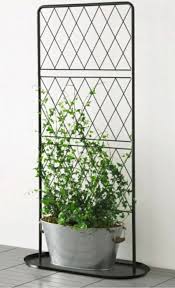 Pin By Hayley Lashure On Arredo Ikea Indoor Vines Plant Decor Apartment Plants