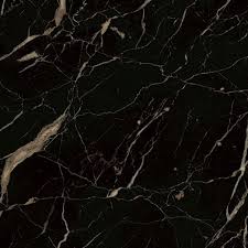 It is also known as; Noir St Laurent Lapicida