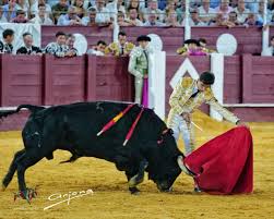 Diario Ronda - News update