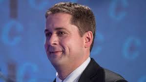 Andrew Scheer leads endorsement race in Conservative leadership campaign