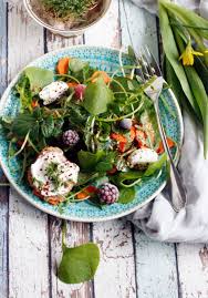 Salat Mit Ziegenkase Und Postelein Fruhlingssalat Salat Mit Ziegenkase Fruhlingssalat Ziegenkase