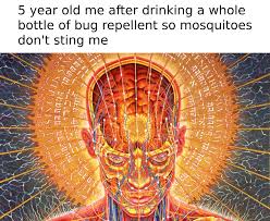 Transcendence, transcendent, or transcendental may refer to: I Have Achieved Transcendence Memes