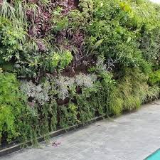 I came to a touch of green landscaping during christmas to get some firewood and a christmas tree. Final Touch Of Green Wall Solomou Garden Centre Facebook