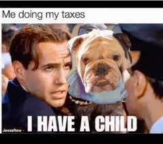 Pin By Carolbirds On Bulldog Boo The Dog English Bulldog Funny Dogs