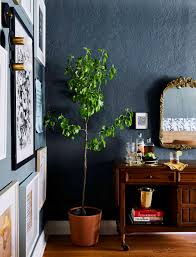Riesenauswahl an werkzeug und baumaterial. The Best Colors To Use In Your Home How They Impact Your Mood Well Being