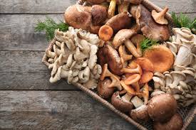 If your cat eats a cooked mushroom off your dinner plate, you probably don't need to worry about his health. 7 Mushrooms You Can Share With Your Dog Animal Wellness Magazine