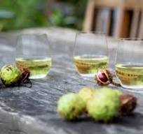 RIEDEL The O Wine Tumbler Viognier/Chardonnay