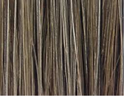 Redken Color Fusion 4ab Ash Blue Redken Color Redken Color