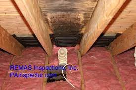 Bath Exhaust Fan To Attic Page 2 Bathroom Vent Exhaust Fan Bath Exhaust Fan