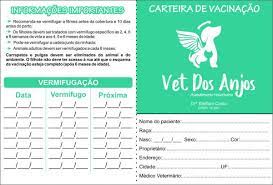 Desde abril de 2017, o brasil não aplica mais duas doses de vacina contra febre amarela (era uma recomendação da oms desde 2013). Carteira De Vacinacao De Pet Shops Tamanho 21x15 Aberta E Fechada Fica 10x15cm Porto Alegre Grafica Rifas Convites Notas Fisc