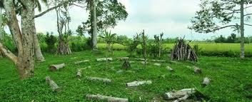 Outbound Di Bedugul Luwus Camp Bali Tempat Pedesaan