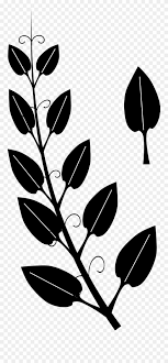Download Collection Of Leaf Vine High Quality Black And White Silhouette Vine Clipart Png Download 338993 Pinclipart