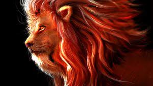 We have an extensive collection of amazing background images carefully chosen by our community. Lion Widescreen 16 9 Wallpapers Hd Desktop Backgrounds 2560x1440 Images And Pictures