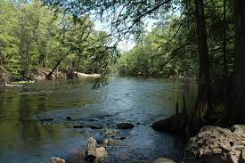 For questions about these updated and new forecast services in the santa fe basin please contact Santa Fe River And Sink Florida State Parks