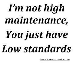 I Am Not High Maintenance You Just Have Low Standards High Maintenance Quotes Standards Quotes Funny Quotes