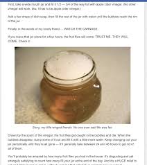 To remove the rust from your garden tools, simply fill a spray bottle with undiluted apple cider vinegar and apply it directly to affected areas. Pin By Judy Jaeger On Pest Control Wide Mouth Jars Dish Soap Sugar Scrub