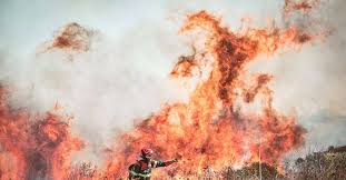 23 hours ago · 900 evacuated in sardinia wildfires; 7v936xr Kmokqm