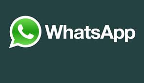 How To Edit Videos In Whatsapp Softonic Videos Peacock Wall Art Video Editing