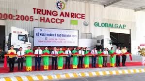 Rice in malaysia at some of the best prices and shop with trust. Vietnam To Export 1 600 Tonnes Of Rice At High Price To Singapore And Malaysia The Star