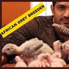 Unusual pets for sale are hard to find, but we are here and offering our valuable services. Amir Tammed Exotic Pets Home Facebook