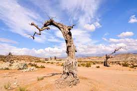 Almeria als hauptstadt der gleichnamigen provinz. Die Wuste Von Tabernas Andalusien 360