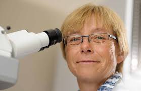 Faculty proudly delivers most PhD degrees