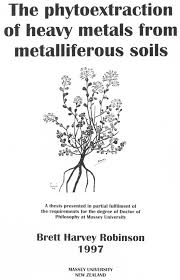 Image result for Haumaniastrum katangense