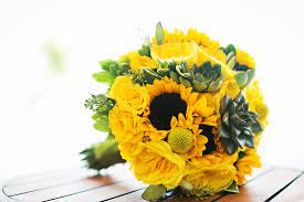 We did not find results for: Yellow Succulent And Sunflower Bridal Bouquet
