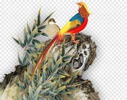 Dengan memiliki postur badan yang ideal warna harga burung murai batu juga bukan harga yang murah, dengan kelas bergengsi burung murai batu tergolong burung yang mahal dikelasnya, harga. Eurasian Magpie Bird Macaw Stone Magpie Branch Parakeet Stone Png Pngwing