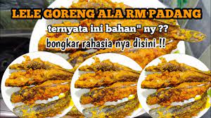Baru kemudian dimasak bersama bumbu kuning hingga bumbunya cukup meresap. Resep Lele Goreng Padang Ala Rumah Makan Padang Youtube