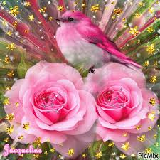 3546626 1f523 Gif 500 500 Flower Art Beautiful Flowers Beautiful Gif