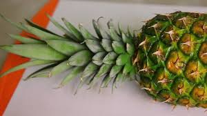 Fresco e delicato, l'ananas è apprezzato per la sua funzione digestiva, perché è ricco di bromelina, di zuccheri, sali minerali e vitamine. Come Tagliare L Ananas 11 Passaggi Con Immagini