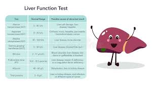 Image result for Liver Function Test
