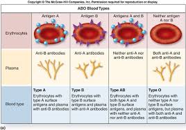 Check Out This Picture On Answers Com Medicine