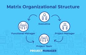 Matrix Organizational Structure A Quick Guide