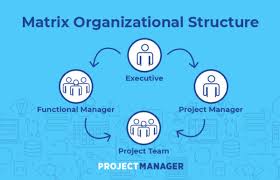 matrix organizational structure a quick guide