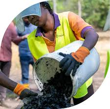 Image result for Burttdavya nyasica