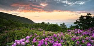 Looking for a great trail near murphy, north carolina? 6 Attractions Near Murphy Nc You Should Visit During Your Vacation To The Area Mountain Country Cabin Rentals
