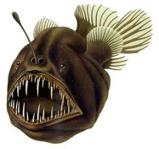 Demikian beberapa definisi atau pengertian ilmu ekonomi secara umum dan menurut para ahli. Ikan Laut Dalam Wikipedia Bahasa Indonesia Ensiklopedia Bebas