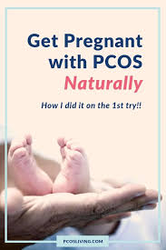 You will likely need to have moderate weight, balance your blood sugar levels, and treat other pcos symptoms with healthy lifestyle changes and medications. How I Got Pregnant Naturally With Pcos In 2 Months Pcos Living