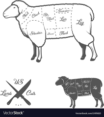 American Cuts Of Lamb Or Mutton Diagram
