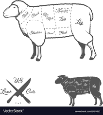 american cuts of lamb or mutton diagram