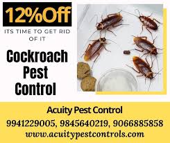 Give us a call and get a free quote, today! Best Cockroach Control Service In Bangalore Pest Control Cockroach Control Pests